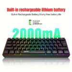 e18a7289-dc16-4e4b-92af-fa0fbf0d8ff0.jpg